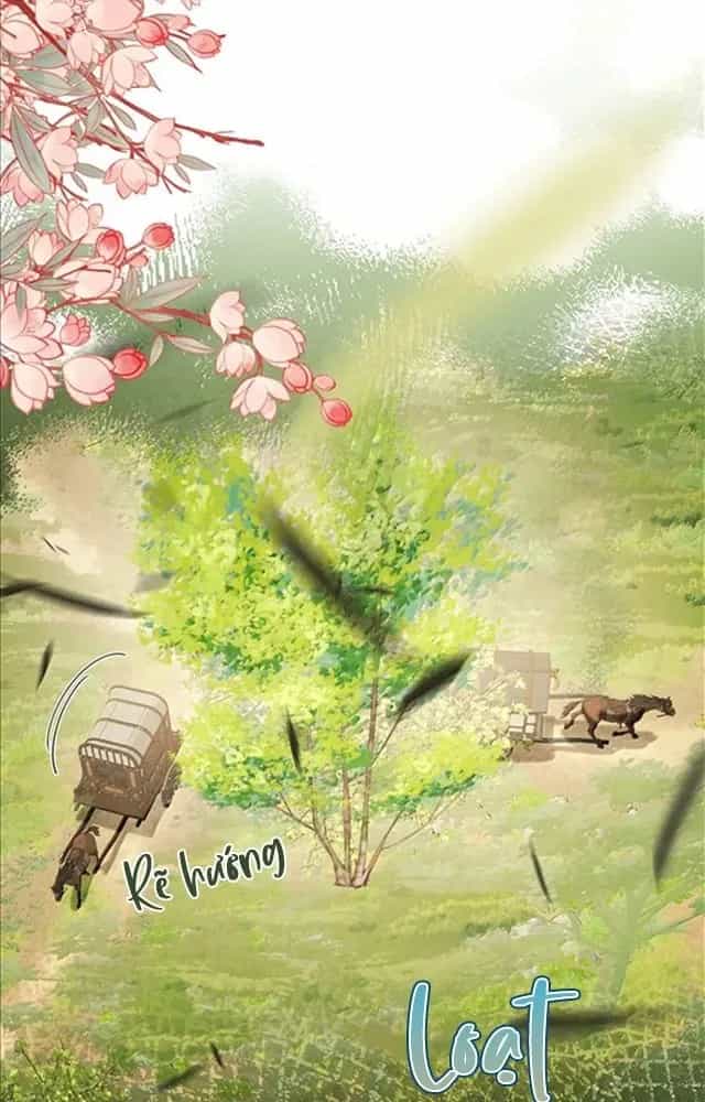 Nuông Chiều Mỹ Nhân Cuồng Nhiệt - Chương 51 - ảnh 36