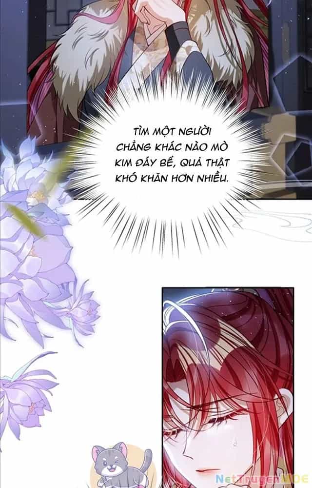 Nuông Chiều Mỹ Nhân Cuồng Nhiệt - Chương 51 - ảnh 5