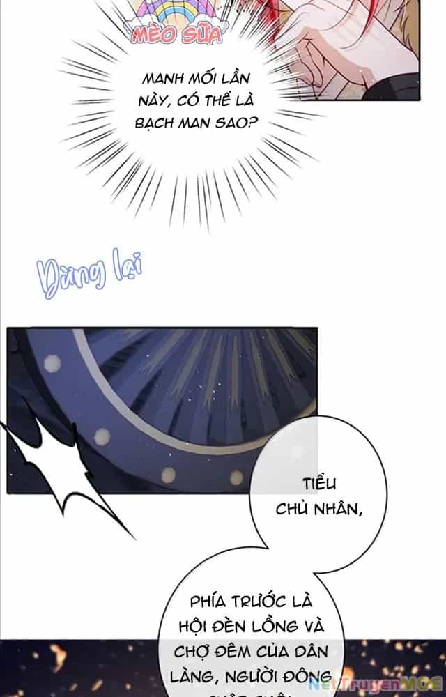 Nuông Chiều Mỹ Nhân Cuồng Nhiệt - Chương 51 - ảnh 6