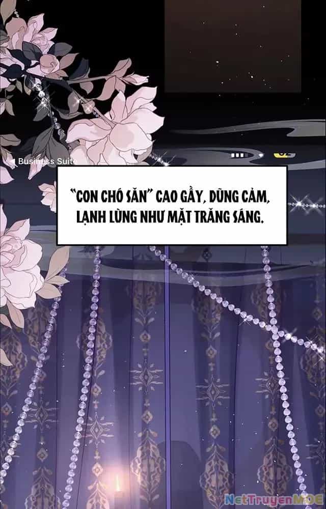Nuông Chiều Mỹ Nhân Cuồng Nhiệt - Chương 52.3 - ảnh 5