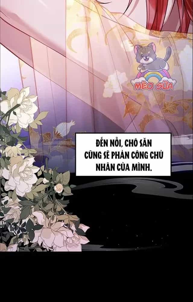 Nuông Chiều Mỹ Nhân Cuồng Nhiệt - Chương 52.3 - ảnh 8