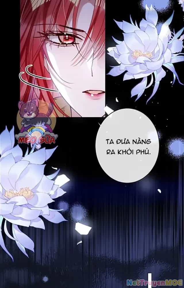 Nuông Chiều Mỹ Nhân Cuồng Nhiệt - Chương 53 - ảnh 35