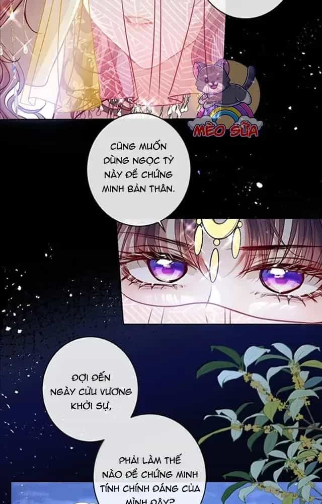 Nuông Chiều Mỹ Nhân Cuồng Nhiệt - Chương 53 - ảnh 4
