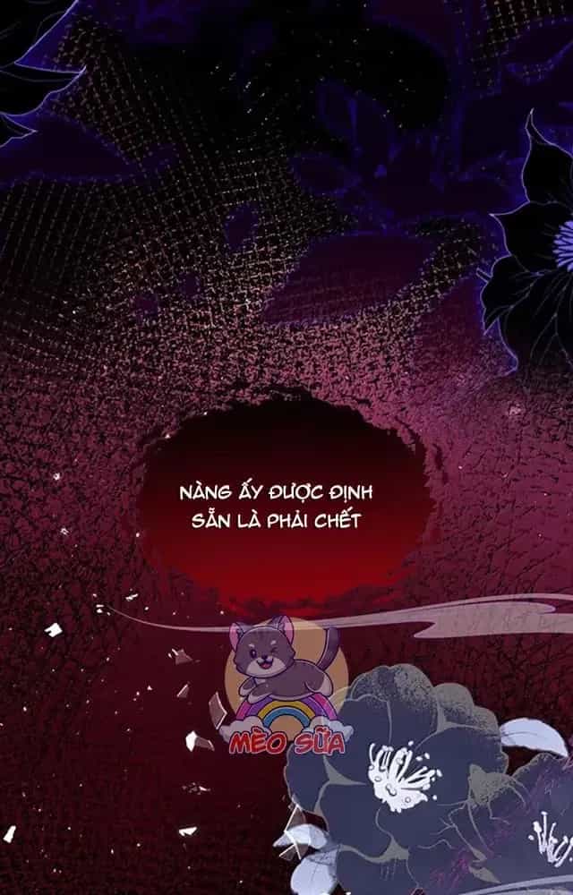 Nuông Chiều Mỹ Nhân Cuồng Nhiệt - Chương 55 - ảnh 11