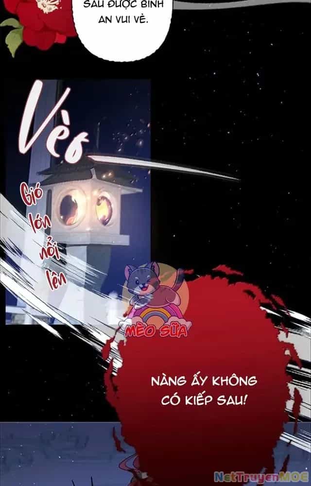Nuông Chiều Mỹ Nhân Cuồng Nhiệt - Chương 55 - ảnh 8