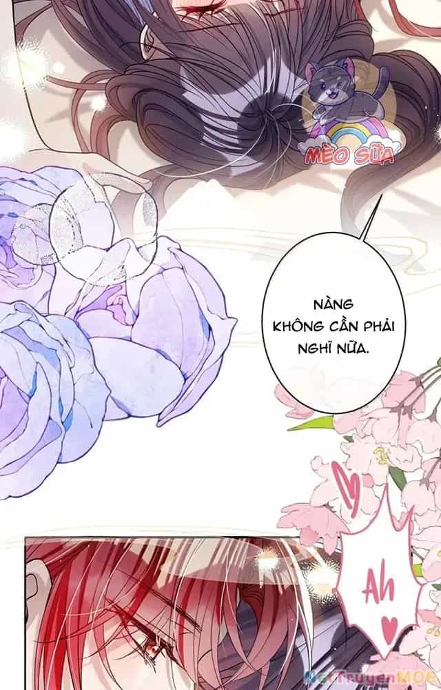 Nuông Chiều Mỹ Nhân Cuồng Nhiệt - Chương 56 - ảnh 29
