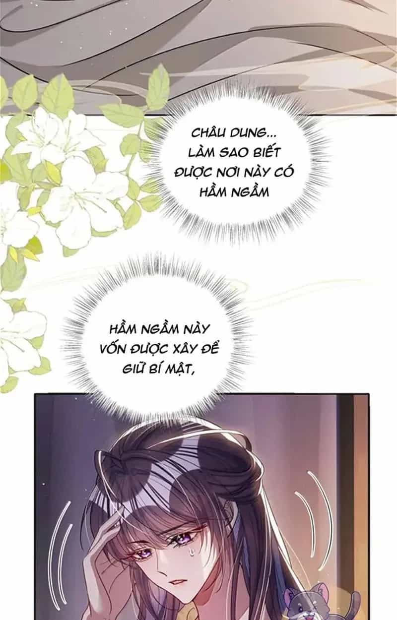 Nuông Chiều Mỹ Nhân Cuồng Nhiệt - Chương 57 - ảnh 34