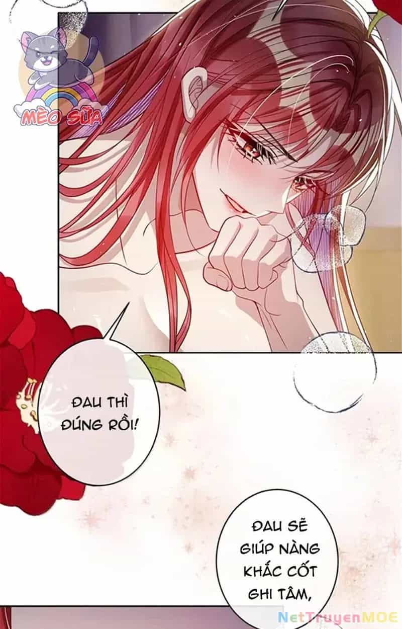 Nuông Chiều Mỹ Nhân Cuồng Nhiệt - Chương 57 - ảnh 4