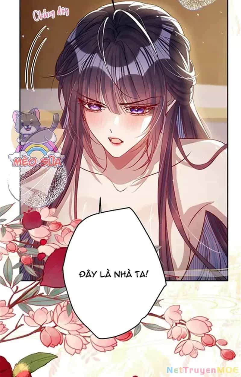 Nuông Chiều Mỹ Nhân Cuồng Nhiệt - Chương 57 - ảnh 6