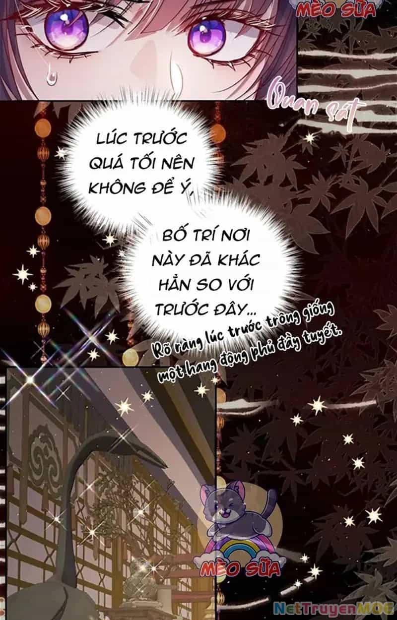 Nuông Chiều Mỹ Nhân Cuồng Nhiệt - Chương 58 - ảnh 12