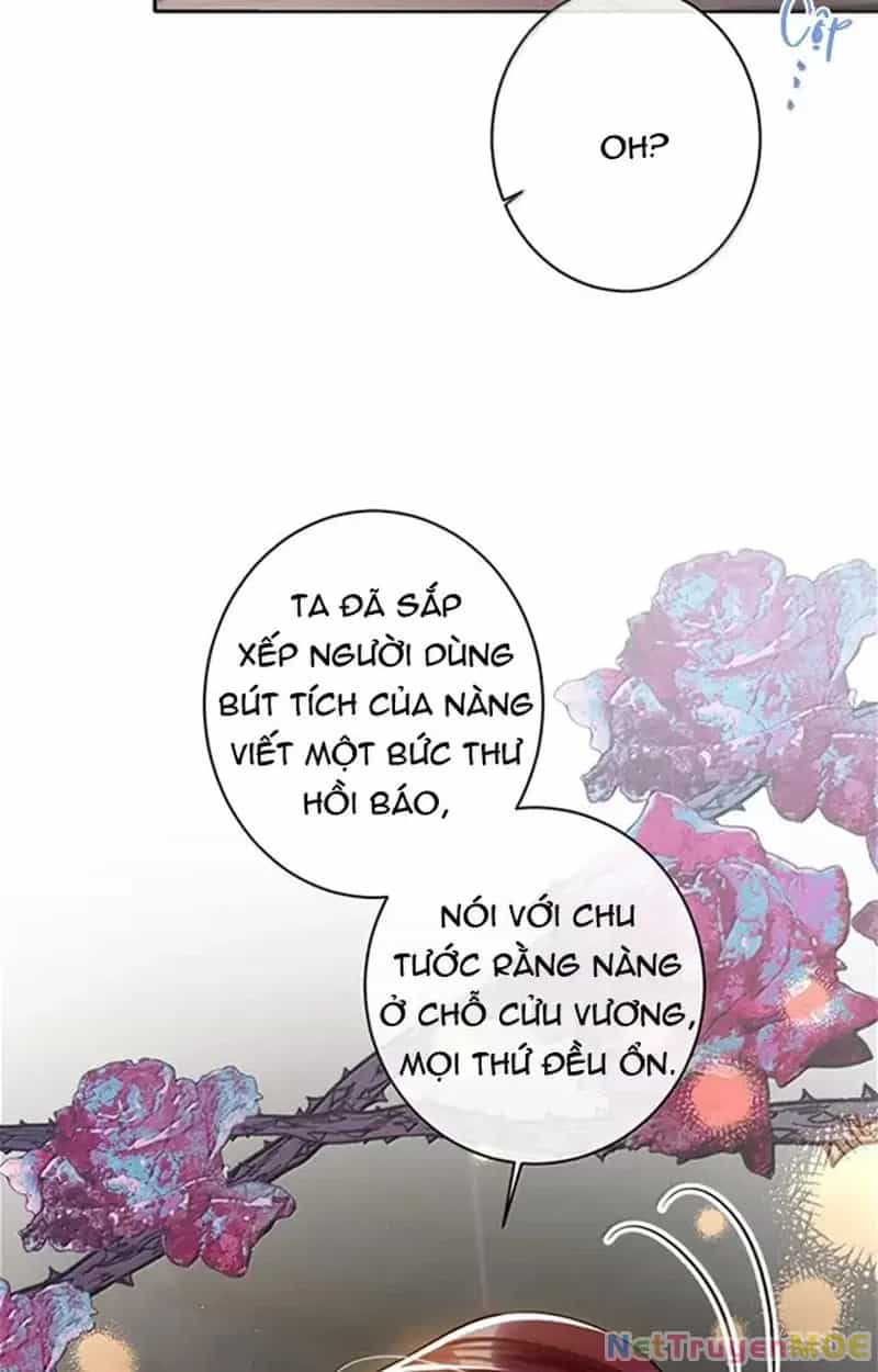 Nuông Chiều Mỹ Nhân Cuồng Nhiệt - Chương 58 - ảnh 19