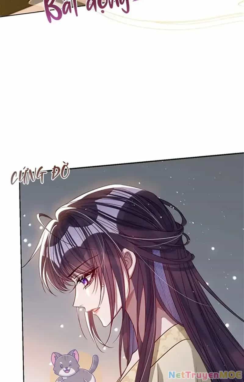Nuông Chiều Mỹ Nhân Cuồng Nhiệt - Chương 58 - ảnh 6
