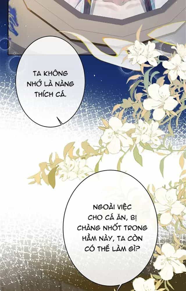 Nuông Chiều Mỹ Nhân Cuồng Nhiệt - Chương 59 - ảnh 5