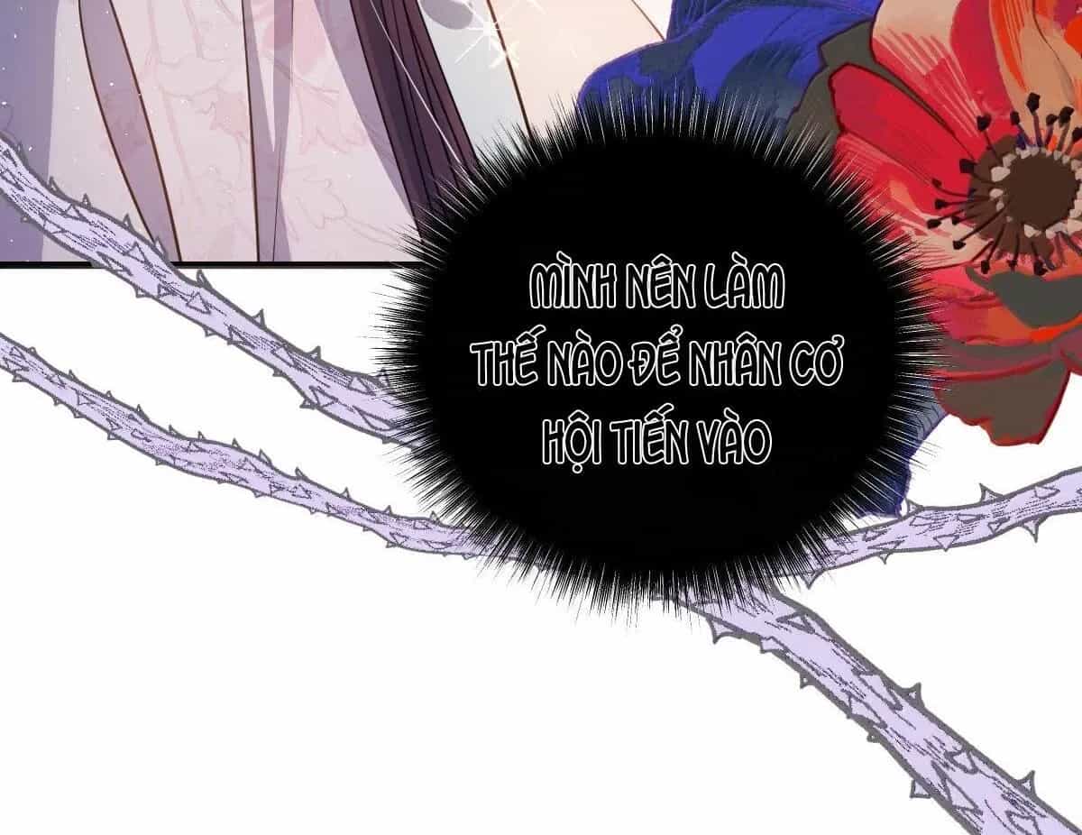 Nuông Chiều Mỹ Nhân Cuồng Nhiệt - Chương 61 - ảnh 20