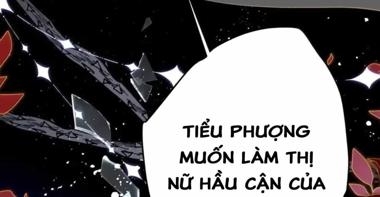 Nuông Chiều Mỹ Nhân Cuồng Nhiệt - Chương 65 - ảnh 36