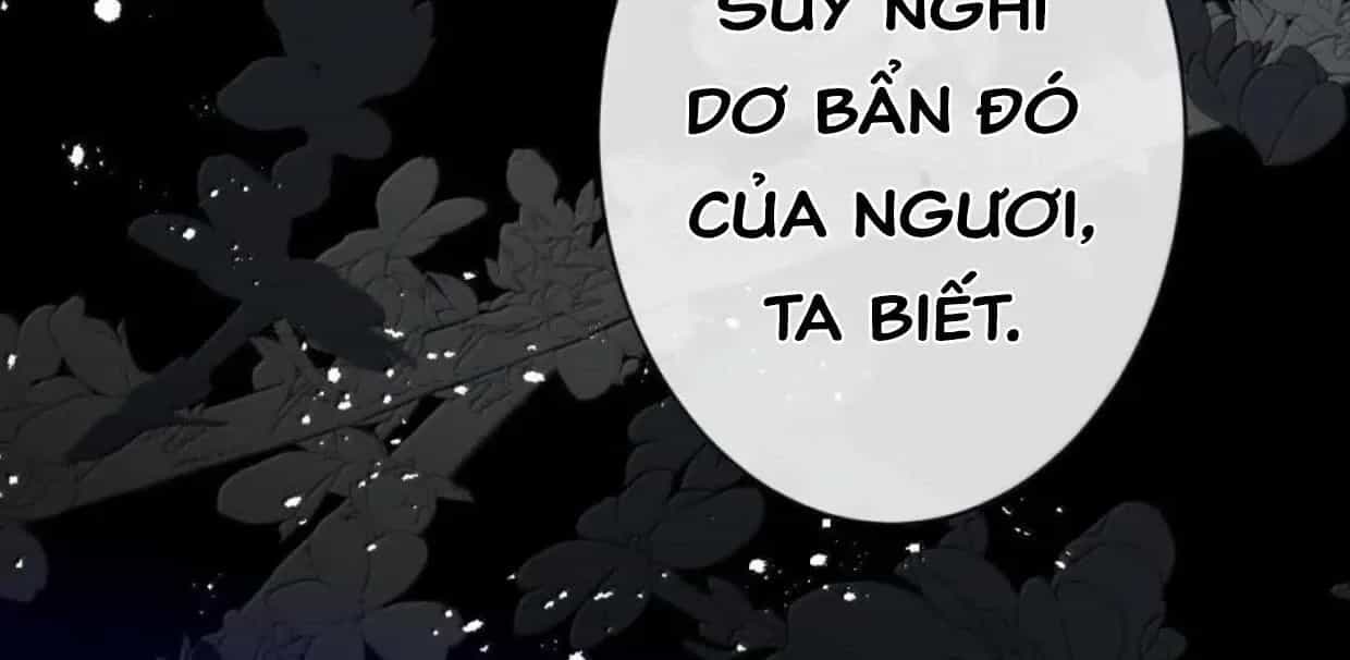 Nuông Chiều Mỹ Nhân Cuồng Nhiệt - Chương 65 - ảnh 77