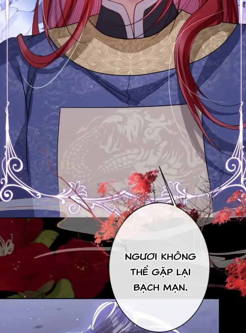 Nuông Chiều Mỹ Nhân Cuồng Nhiệt - Chương 66 - ảnh 18