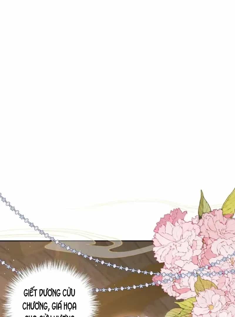 Nuông Chiều Mỹ Nhân Cuồng Nhiệt - Chương 67 - ảnh 11