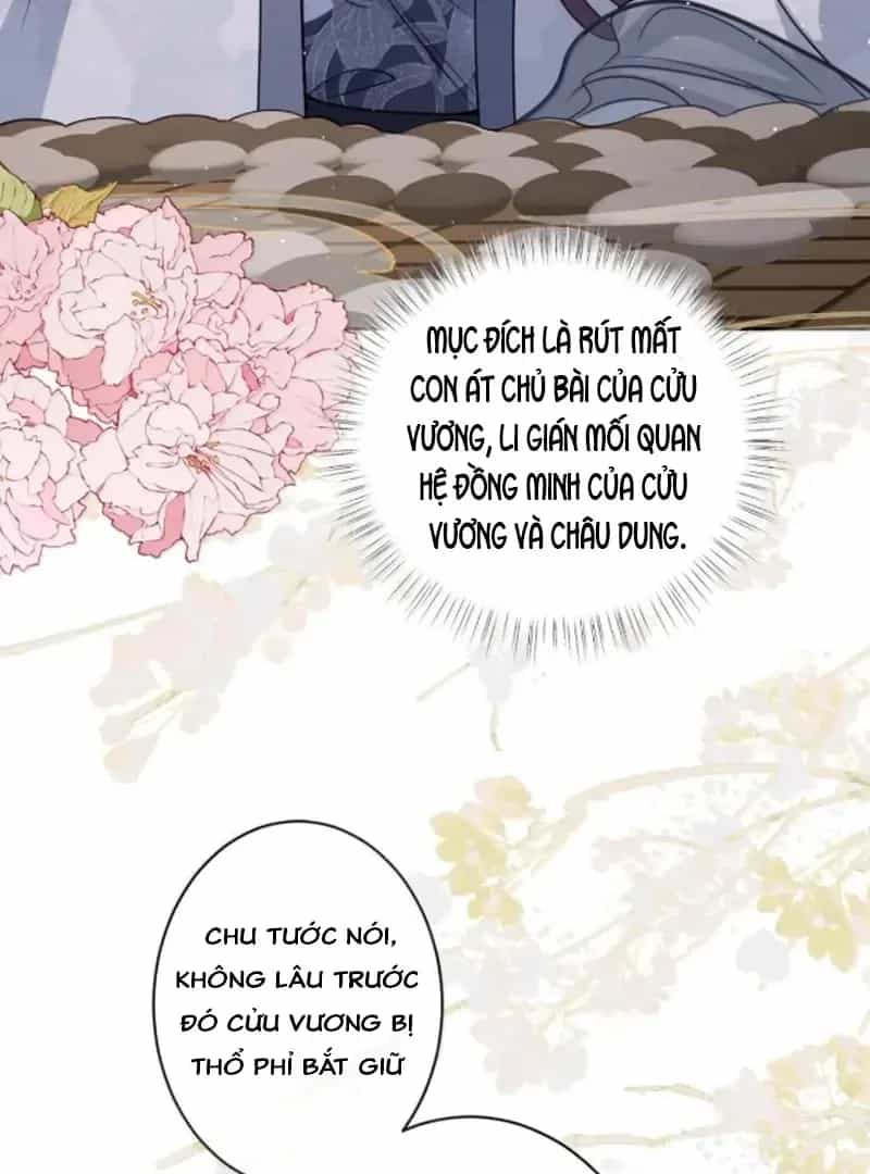 Nuông Chiều Mỹ Nhân Cuồng Nhiệt - Chương 67 - ảnh 13