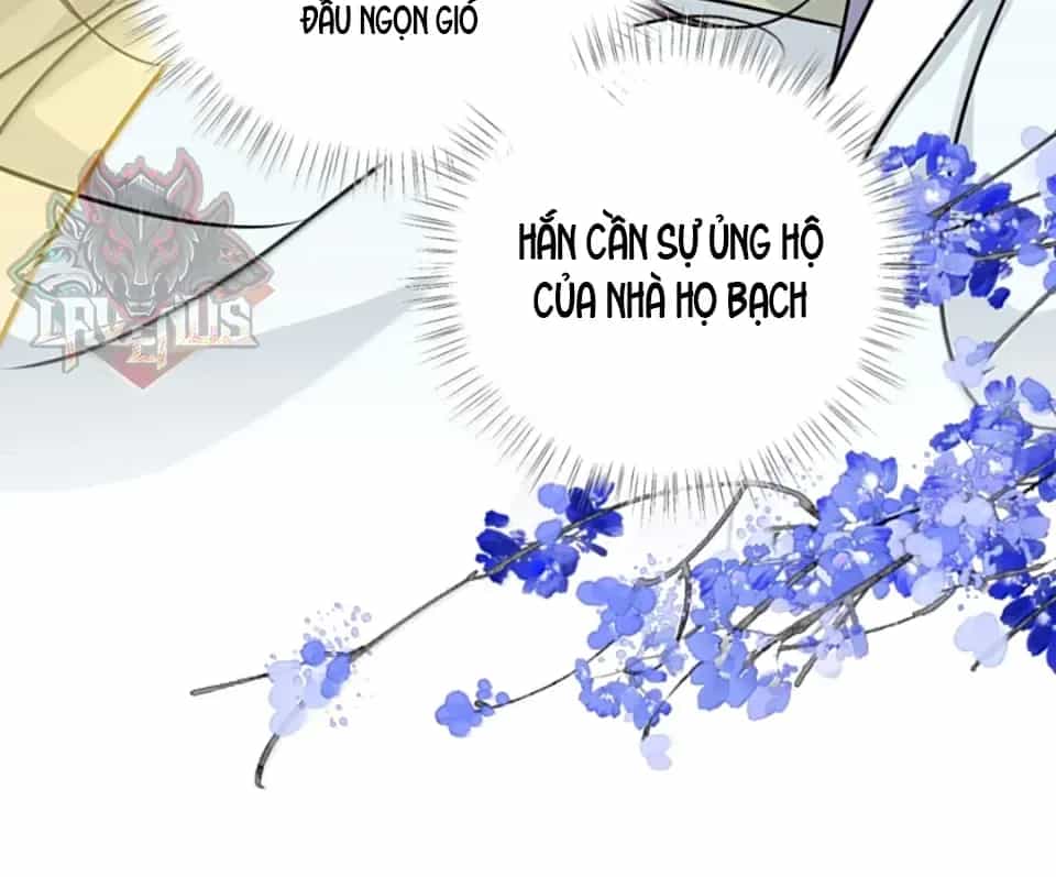 Nuông Chiều Mỹ Nhân Cuồng Nhiệt - Chương 68 - ảnh 19