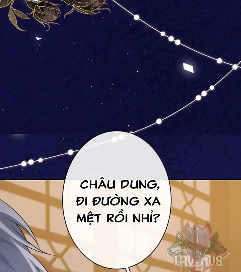Nuông Chiều Mỹ Nhân Cuồng Nhiệt - Chương 68 - ảnh 5