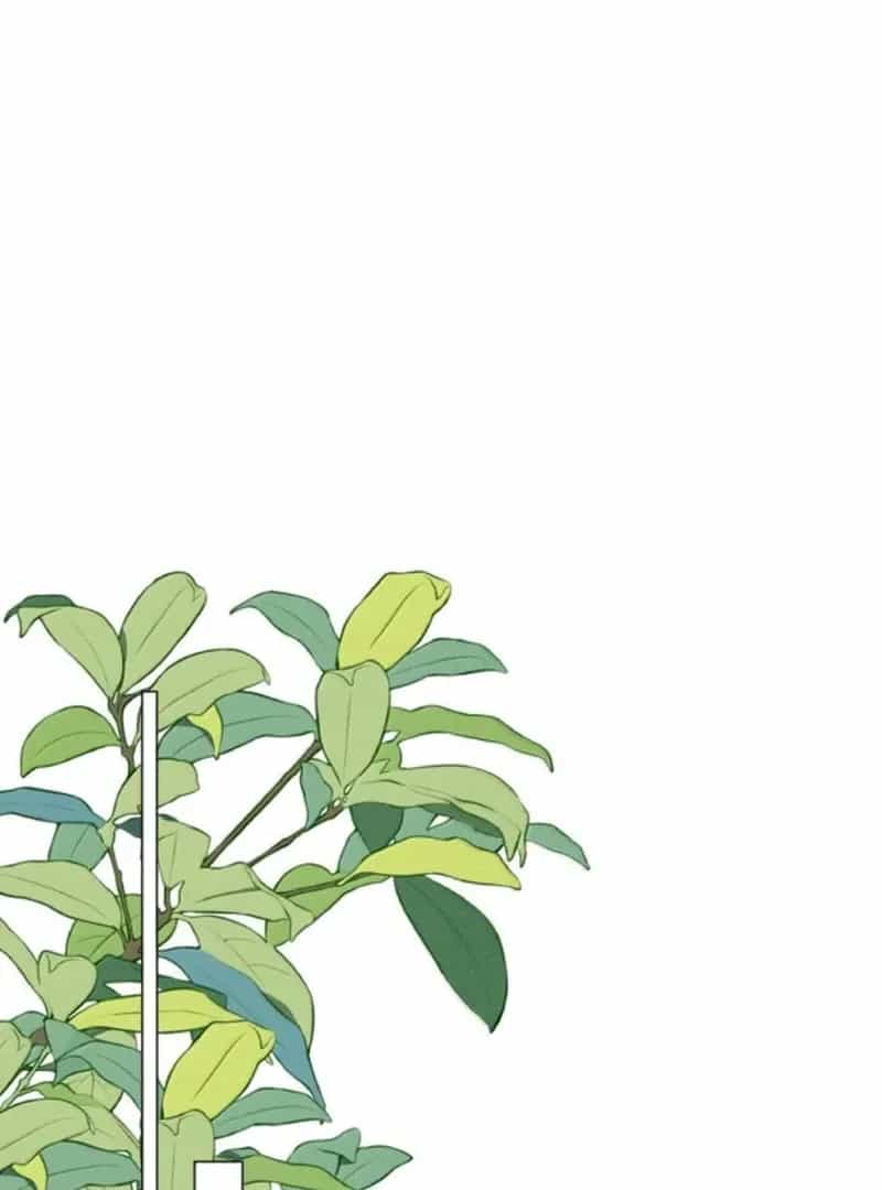 Nuông Chiều Mỹ Nhân Cuồng Nhiệt - Chương 71 - ảnh 37