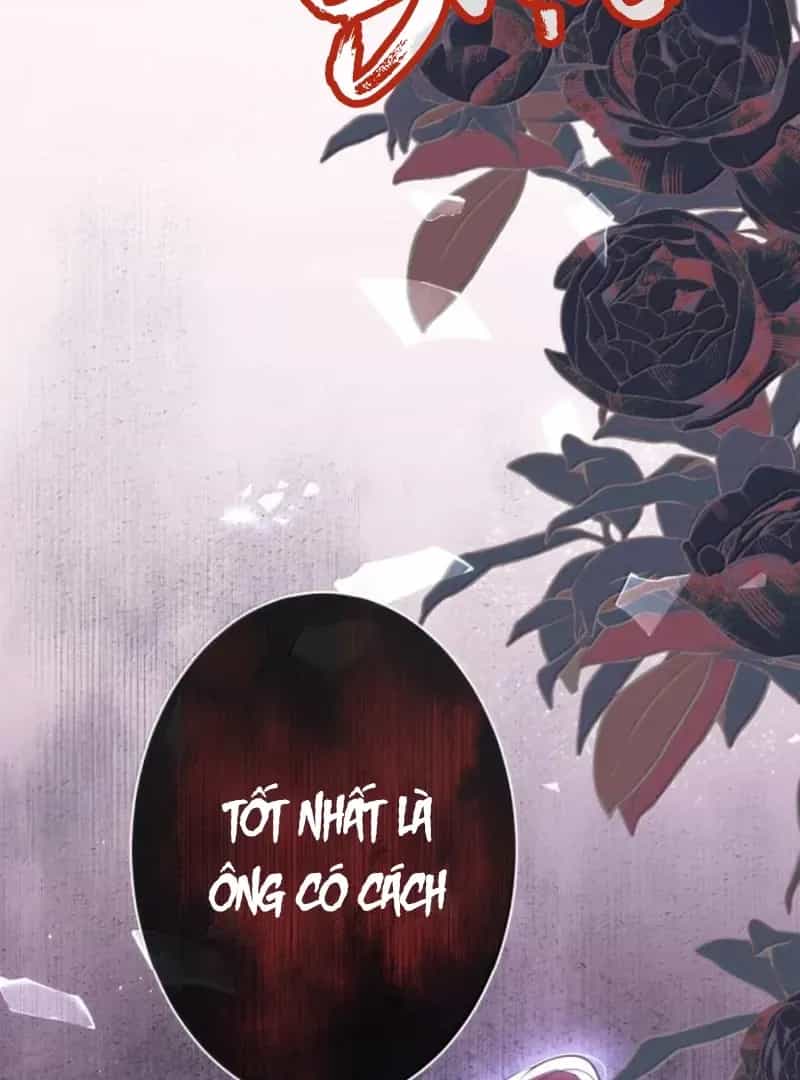 Nuông Chiều Mỹ Nhân Cuồng Nhiệt - Chương 71 - ảnh 56