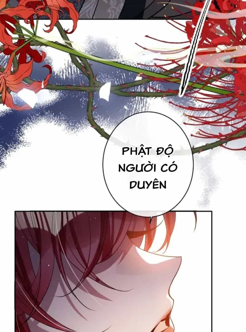 Nuông Chiều Mỹ Nhân Cuồng Nhiệt - Chương 72 - ảnh 16