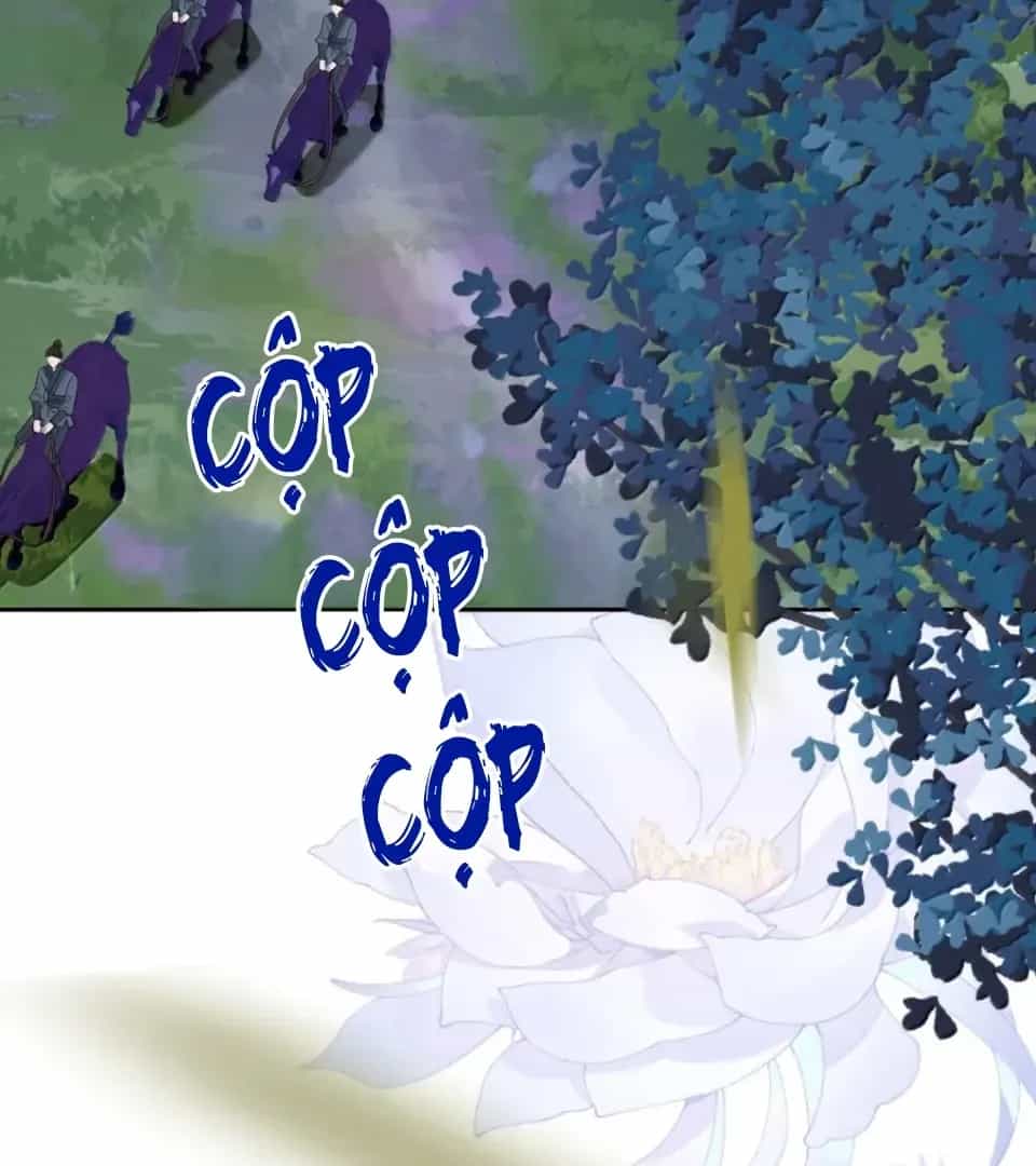Nuông Chiều Mỹ Nhân Cuồng Nhiệt - Chương 74 - ảnh 3