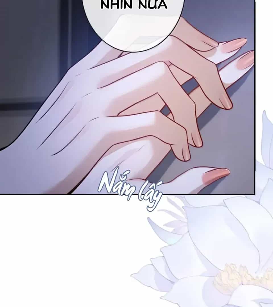 Nuông Chiều Mỹ Nhân Cuồng Nhiệt - Chương 74 - ảnh 6