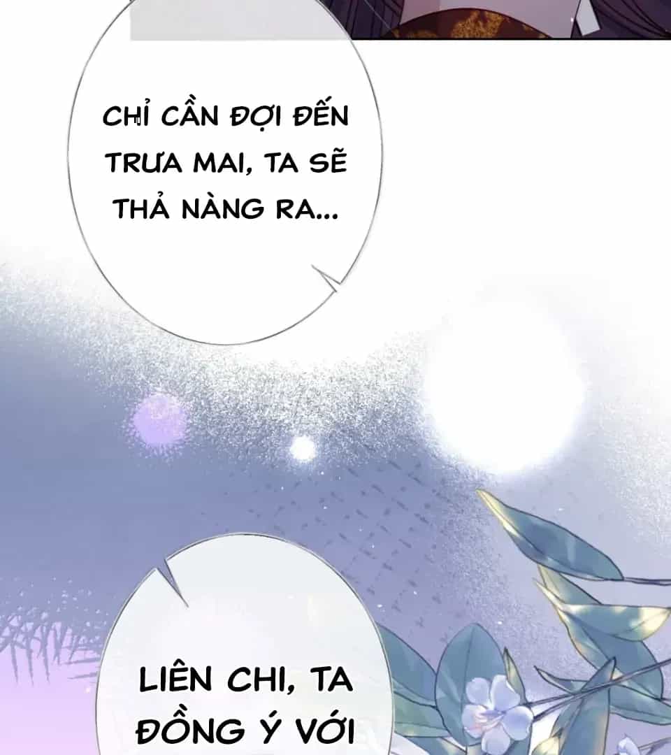 Nuông Chiều Mỹ Nhân Cuồng Nhiệt - Chương 74 - ảnh 79