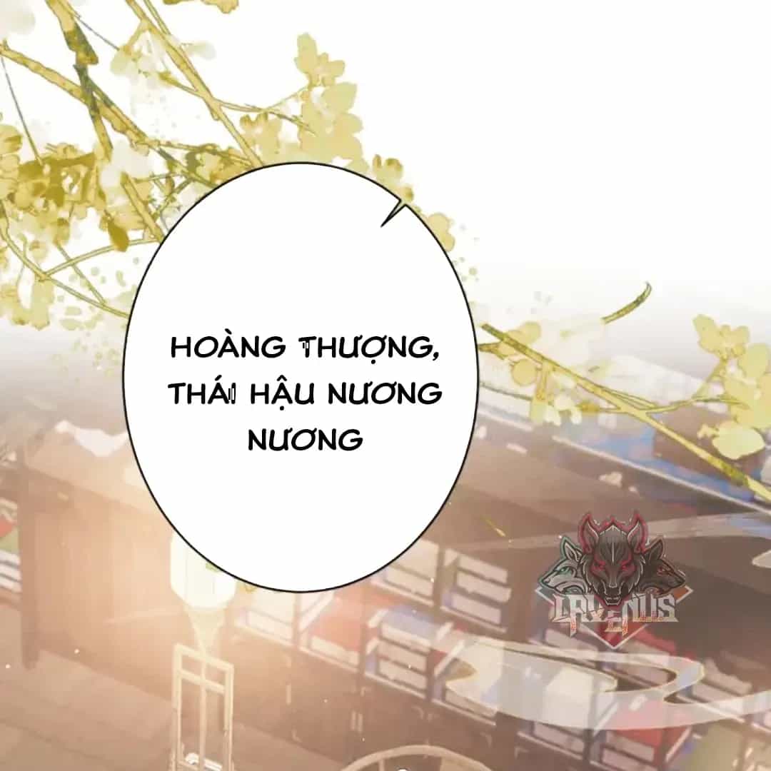 Nuông Chiều Mỹ Nhân Cuồng Nhiệt - Chương 78 - ảnh 3