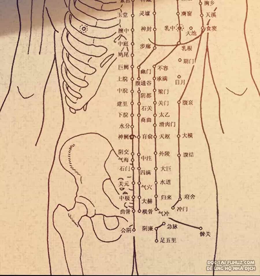 Nương Tử Nhà Ta Là Nữ Đế - Chương 132 - ảnh 5