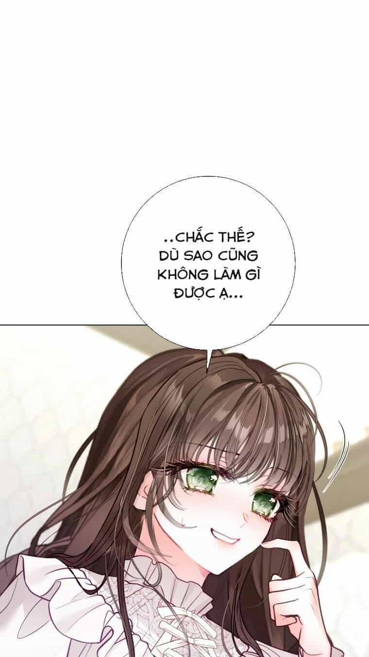 Ở Một Thế Giới Không Có Em Gái Mà Ai Cũng Yêu - Chương 25 - ảnh 52