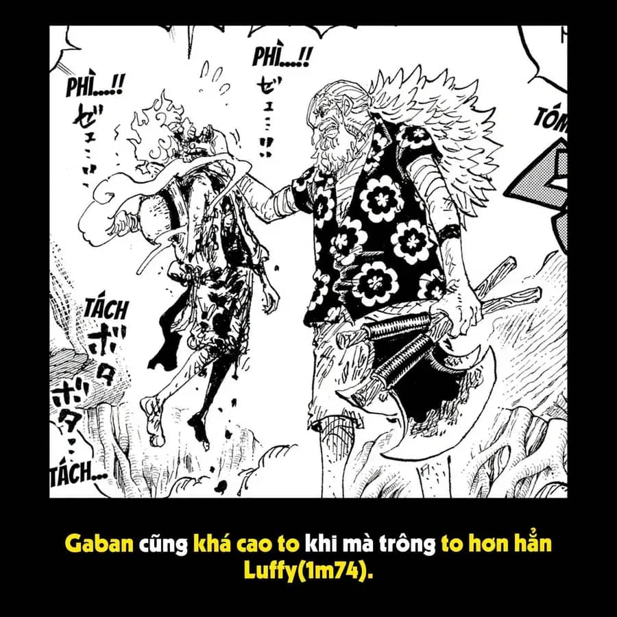 One Piece - Chương 1190.1 - ảnh 13