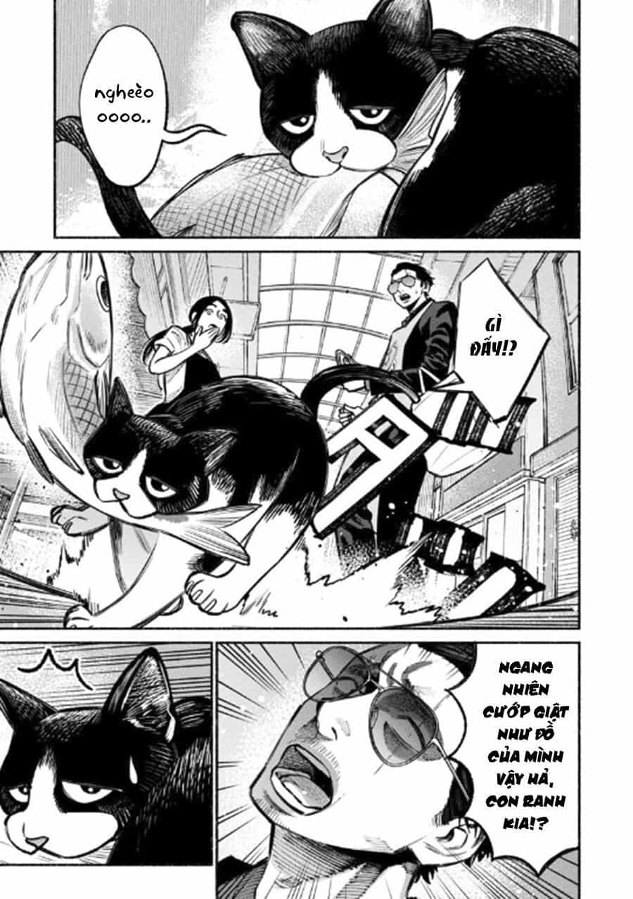 Ông Chồng Yakuza Nội Trợ - Chương 28 - ảnh 5
