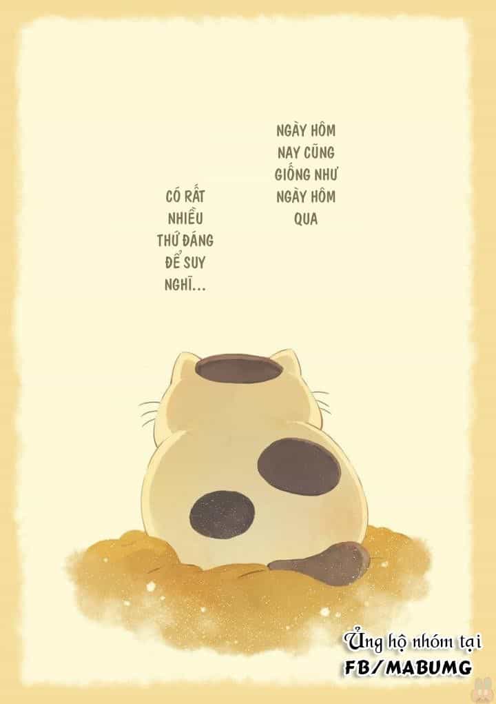 Ông Chú Và Con Mèo Mặt Bựa - Chương 1 - ảnh 5