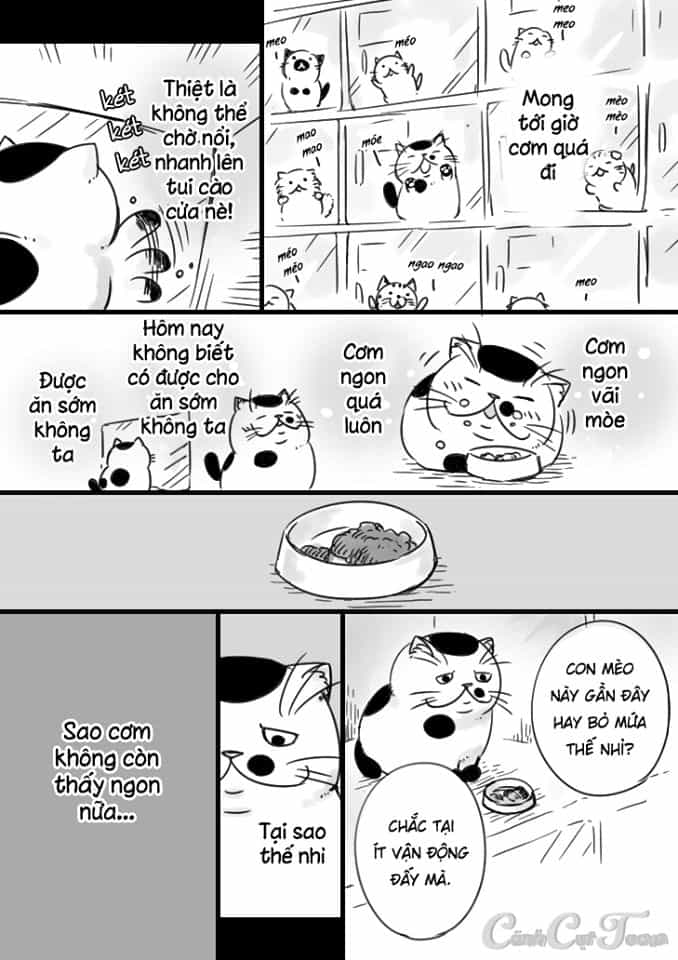 Ông Chú Và Con Mèo Mặt Bựa - Chương 5 - ảnh 3