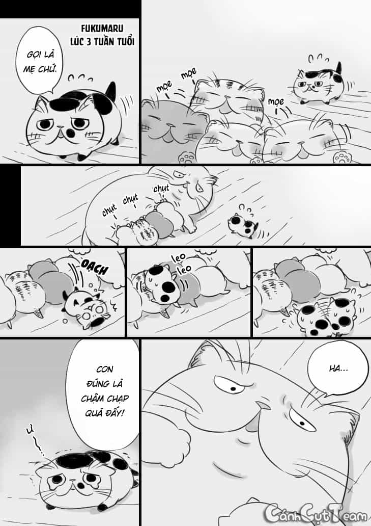 Ông Chú Và Con Mèo Mặt Bựa - Chương 8 - ảnh 3