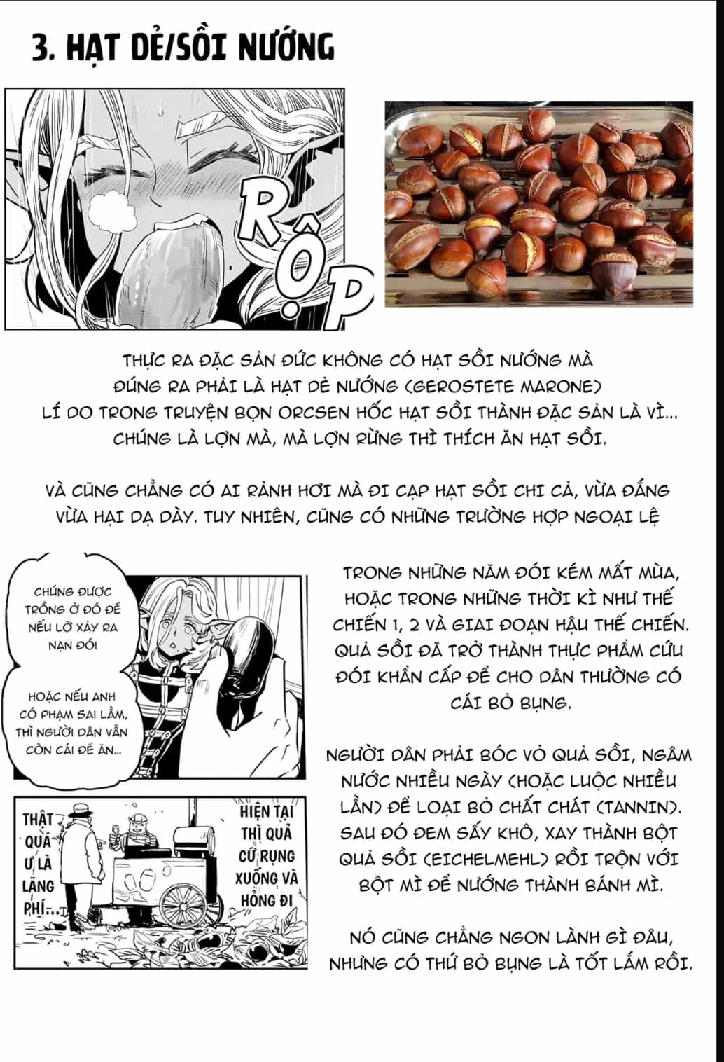 Orcsen Oukokushi ~Yaban Na Orc No Kuni Wa, Ikanishite Heiwa Na Elf No Kuni Wo Yakiharau Ni Itatta Ka~ - Chương 11 - ảnh 63
