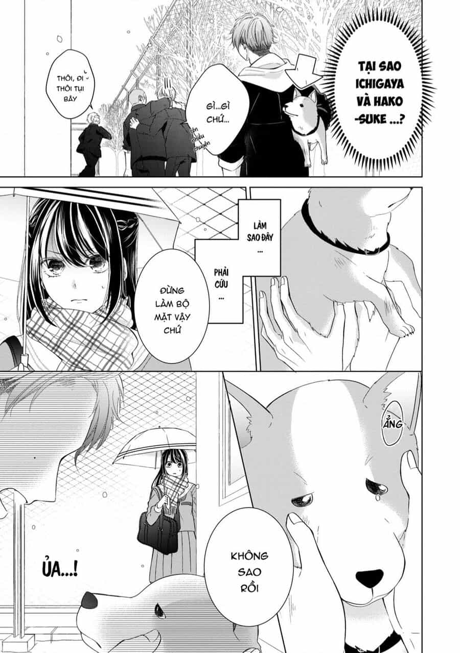 Osewa Ni Narimasu Ookami-Kun - Chuong 1 - ảnh 8