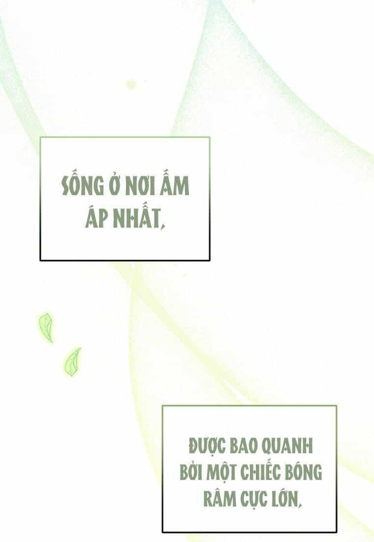 Papa Tôi Là Bạo Chúa Ác Ma - Chương 9 - ảnh 52