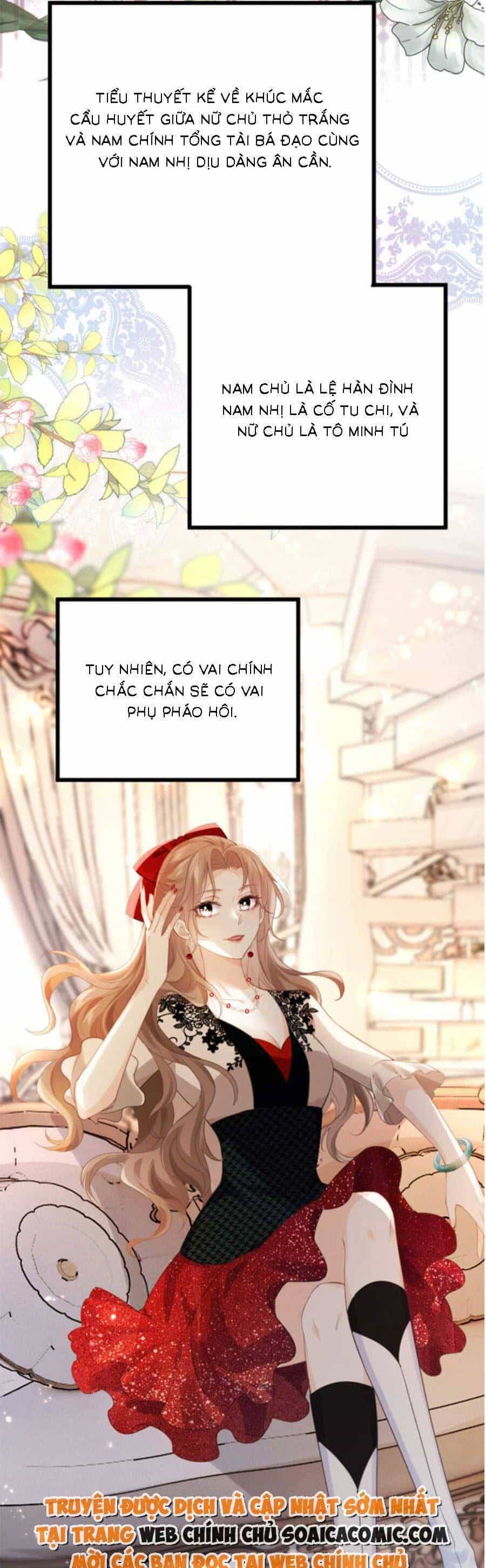 Phá Vỡ Kế Hoạch Của Tra Nam Tôi Về Bên Đại Boss - Chương 1 - ảnh 14