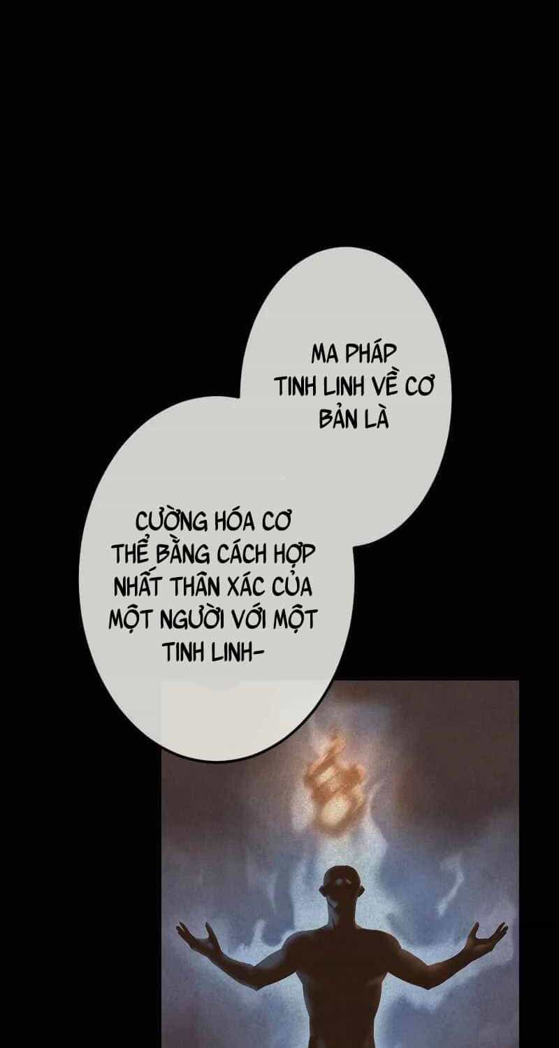 Pháp Sư Cận Chiến Hồi Quy - Chương 28 - ảnh 11