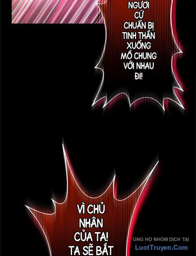 Pháp Sư Cận Chiến Hồi Quy - Chương 38 - ảnh 44