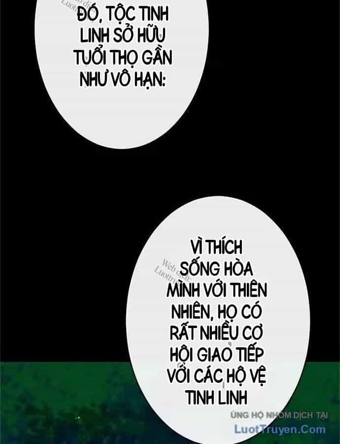 Pháp Sư Cận Chiến Hồi Quy - Chương 39 - ảnh 15