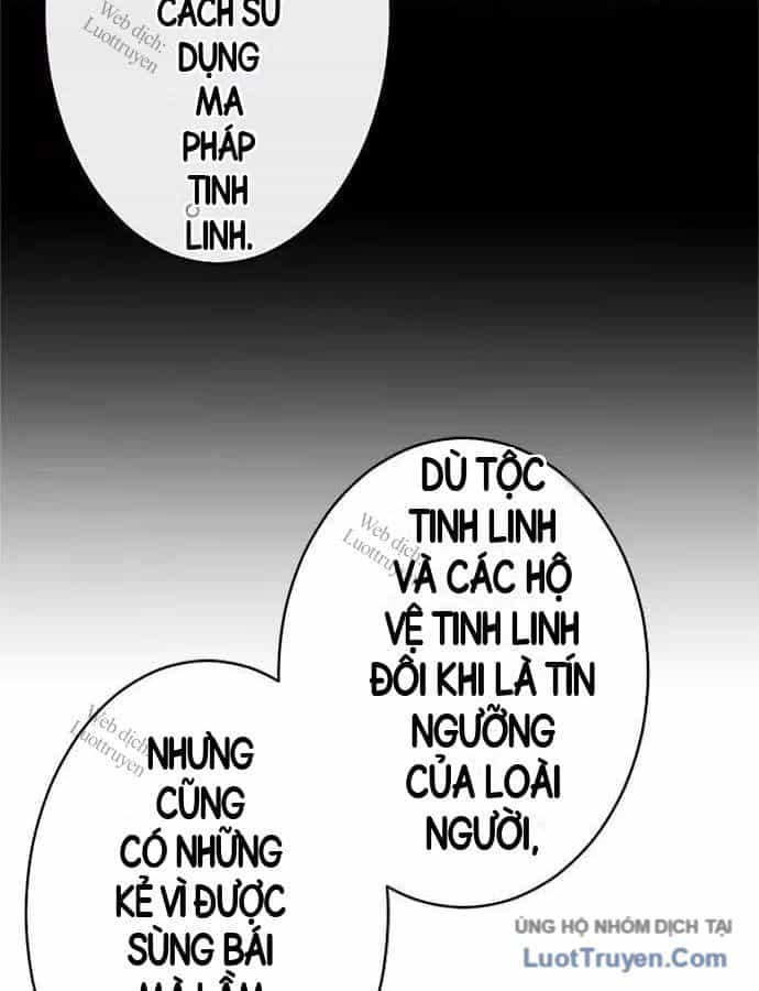 Pháp Sư Cận Chiến Hồi Quy - Chương 39 - ảnh 17