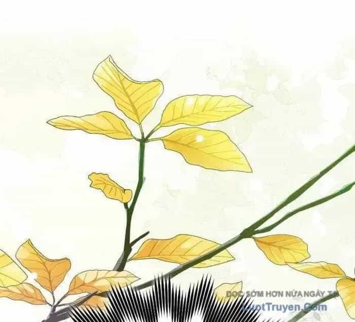 Pháp Sư Thiên Tài Phá Vỡ Giới Hạn - Chương 32 - ảnh 21