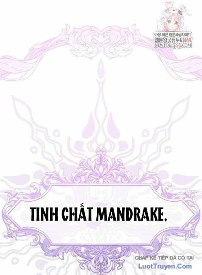 Pháp Sư Thiên Tài Phá Vỡ Giới Hạn - Chương 36 - ảnh 2
