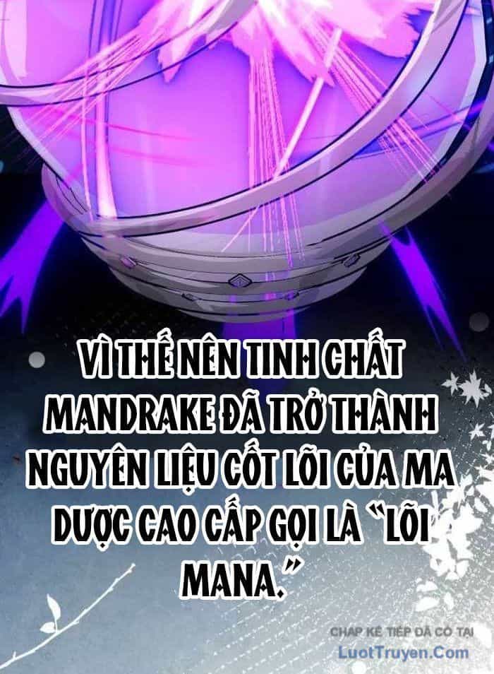 Pháp Sư Thiên Tài Phá Vỡ Giới Hạn - Chương 36 - ảnh 7